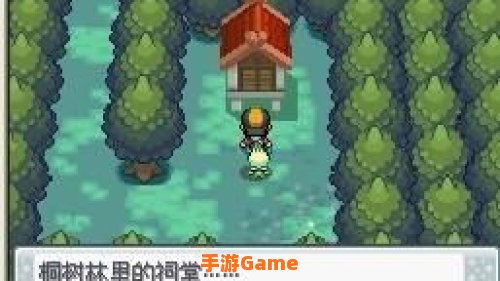 口袋妖怪心金雪拉比