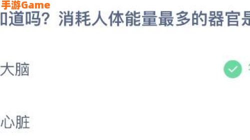 消耗人体能量最多的器官是